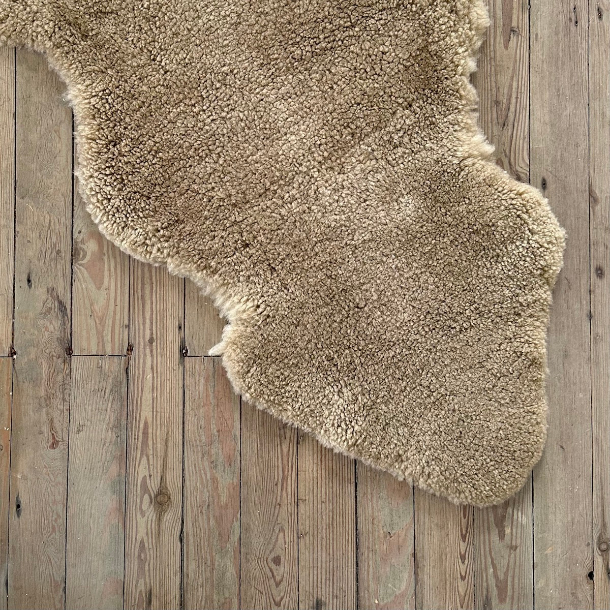 Bloomist Curly Shearling Sheepskin Pelt - Thumbnail 2