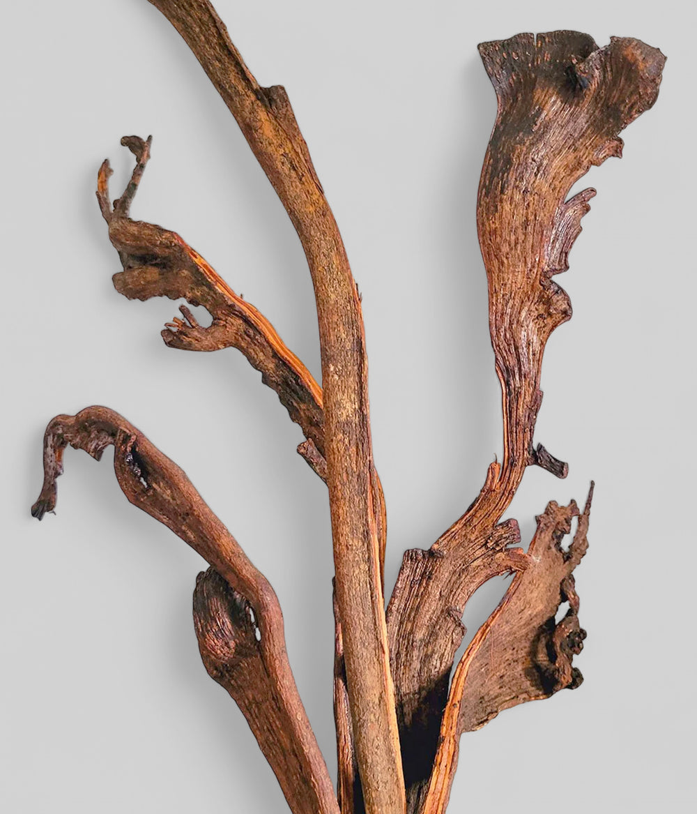Dried and natural wood branch decor for modern organic interior accents