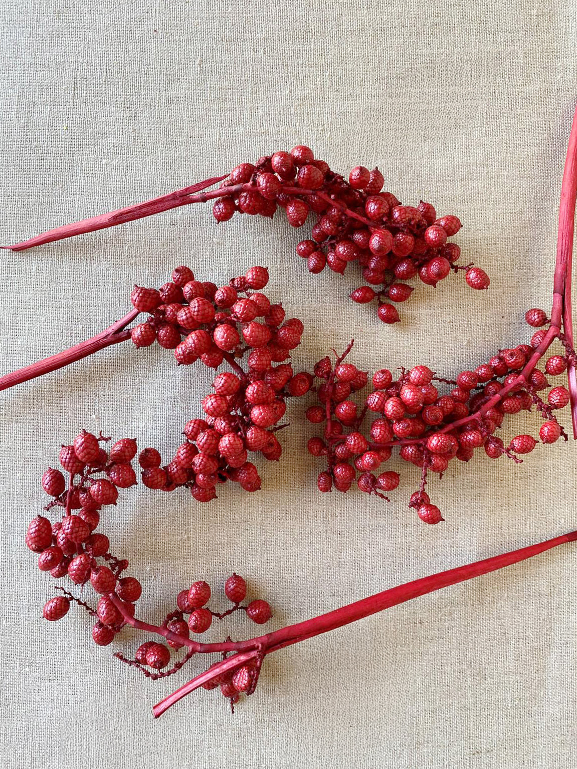 Dried Natural Red Canella Berry Stems