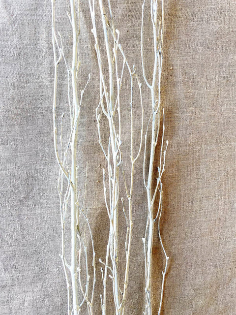 Dried White Birch Branches with natural texture for vases or seasonal centerpieces