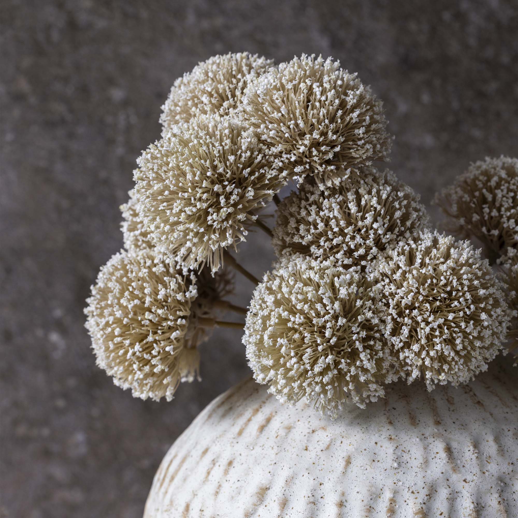 Faux Allium Flowers with rounded white heads for neutral interiors