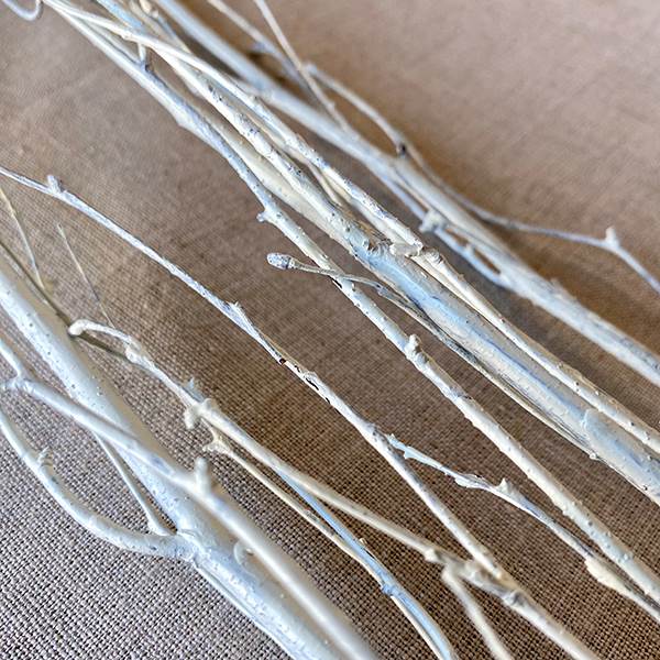 Dried White Birch Branch - Thumbnail 2