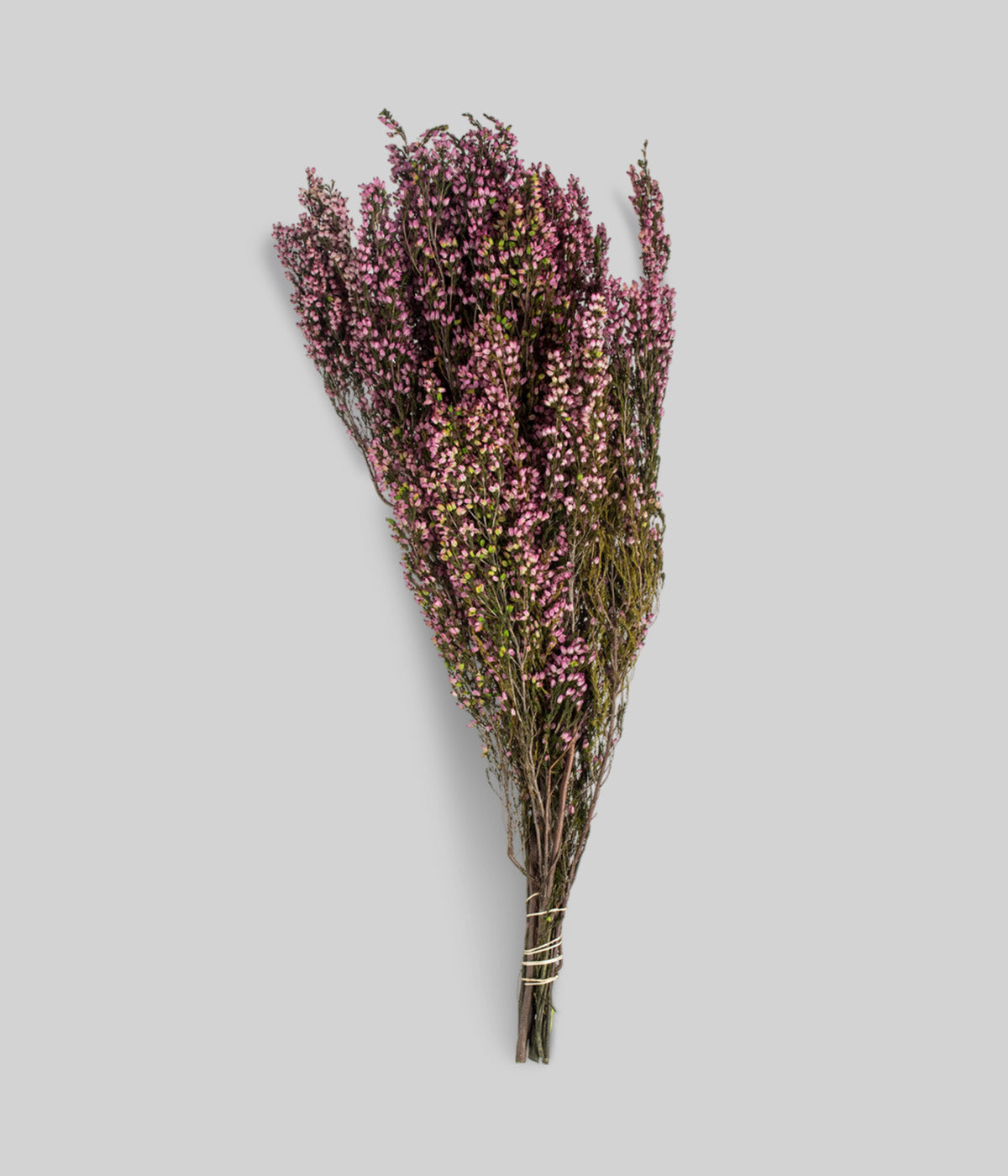 Bloomist Dried Pink Heather Stems