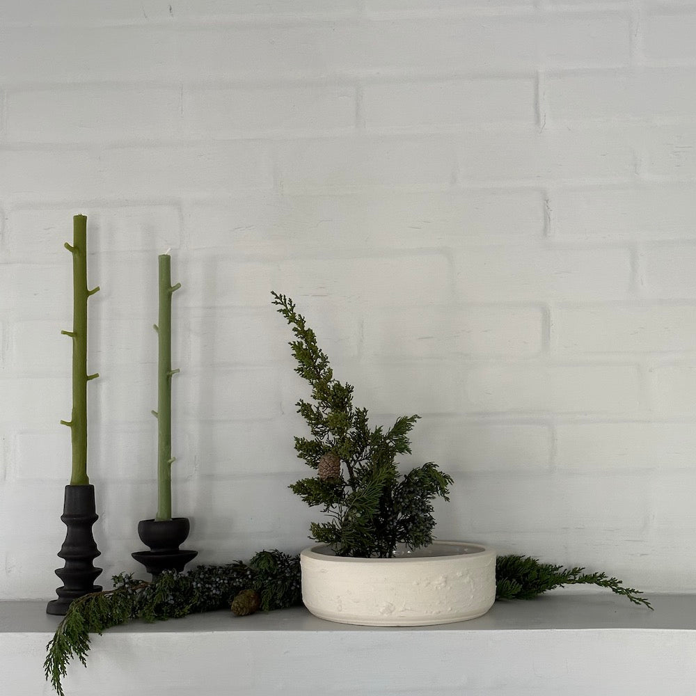 Preserved Juniper With Berries - Bloomist