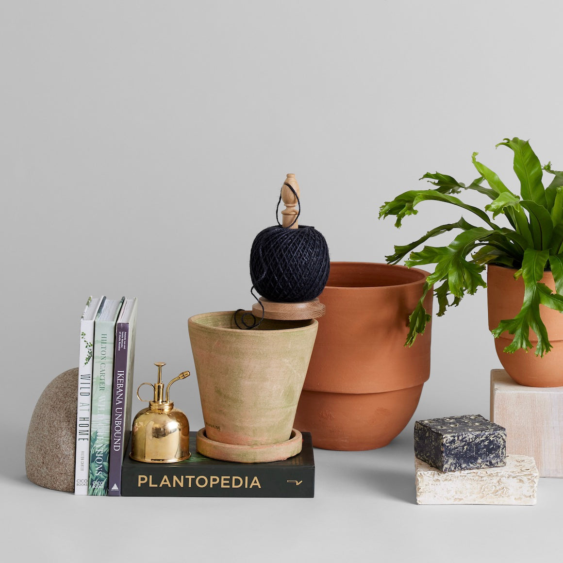 botanical plant pots Terracotta Studio Planter, Greenwash XX-Large / No Tray