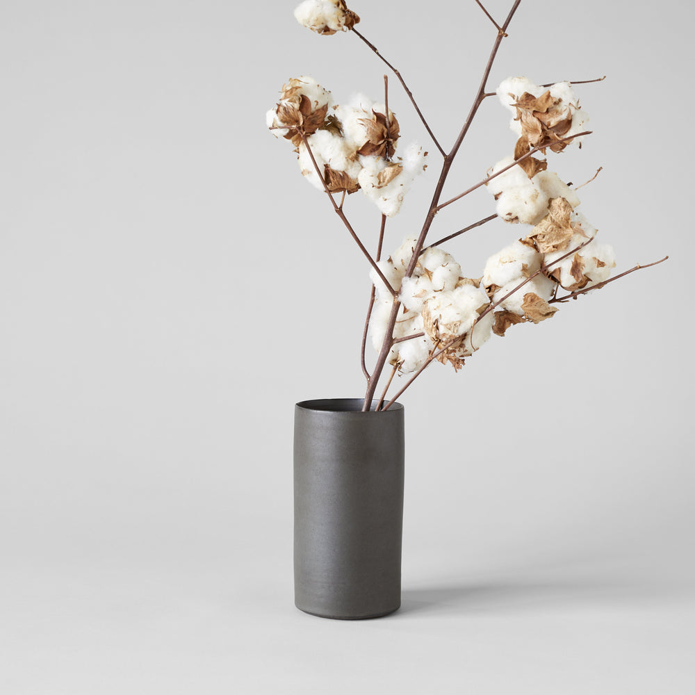 Cotton Stalk - Bloomist