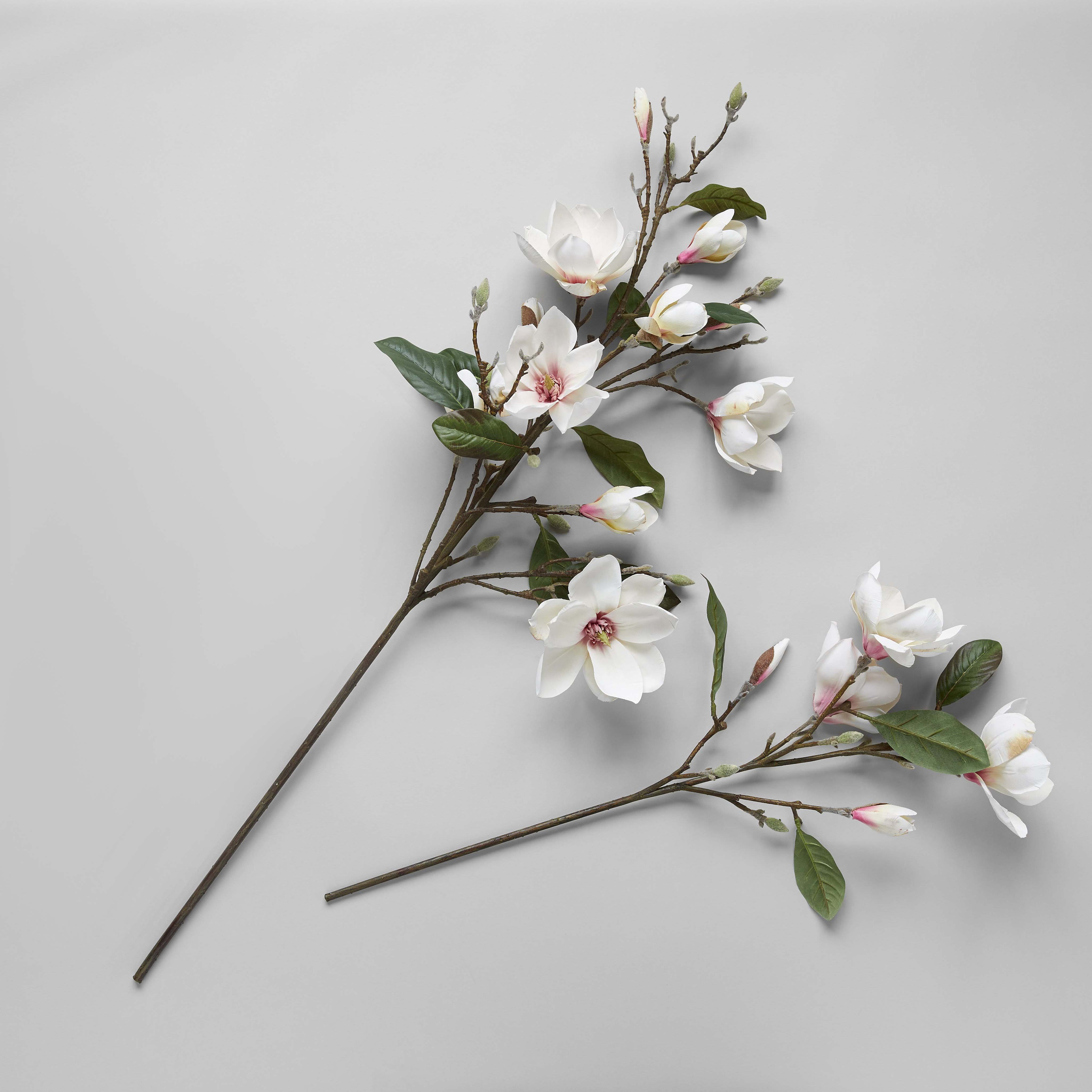 EcoFaux Magnolia Campbellii Branch - Bloomist