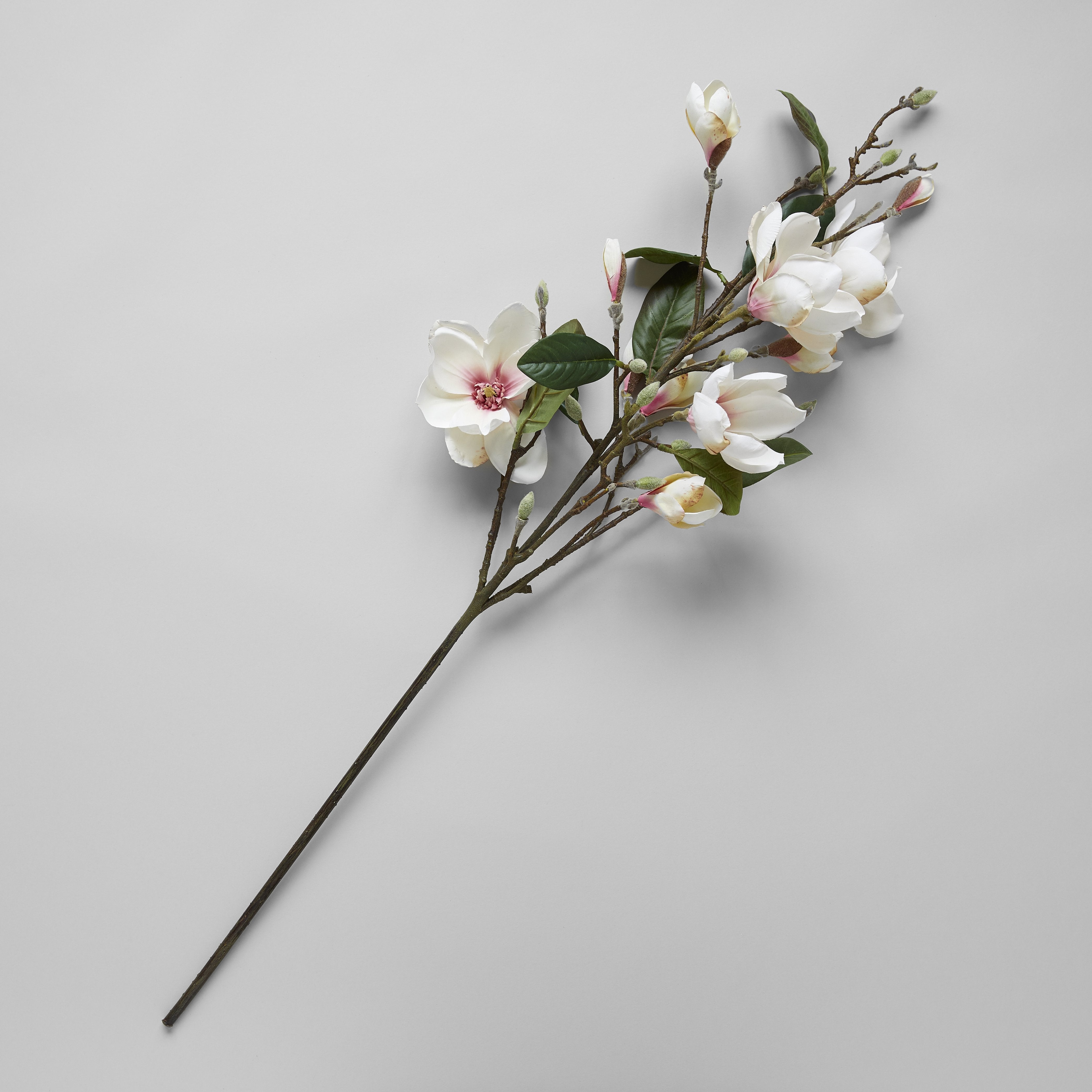 EcoFaux Magnolia Campbellii Branch - Bloomist