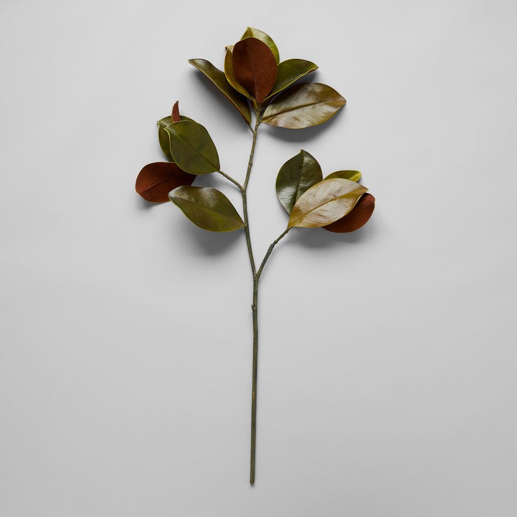 EcoFaux Magnolia Leaf Branch - Bloomist