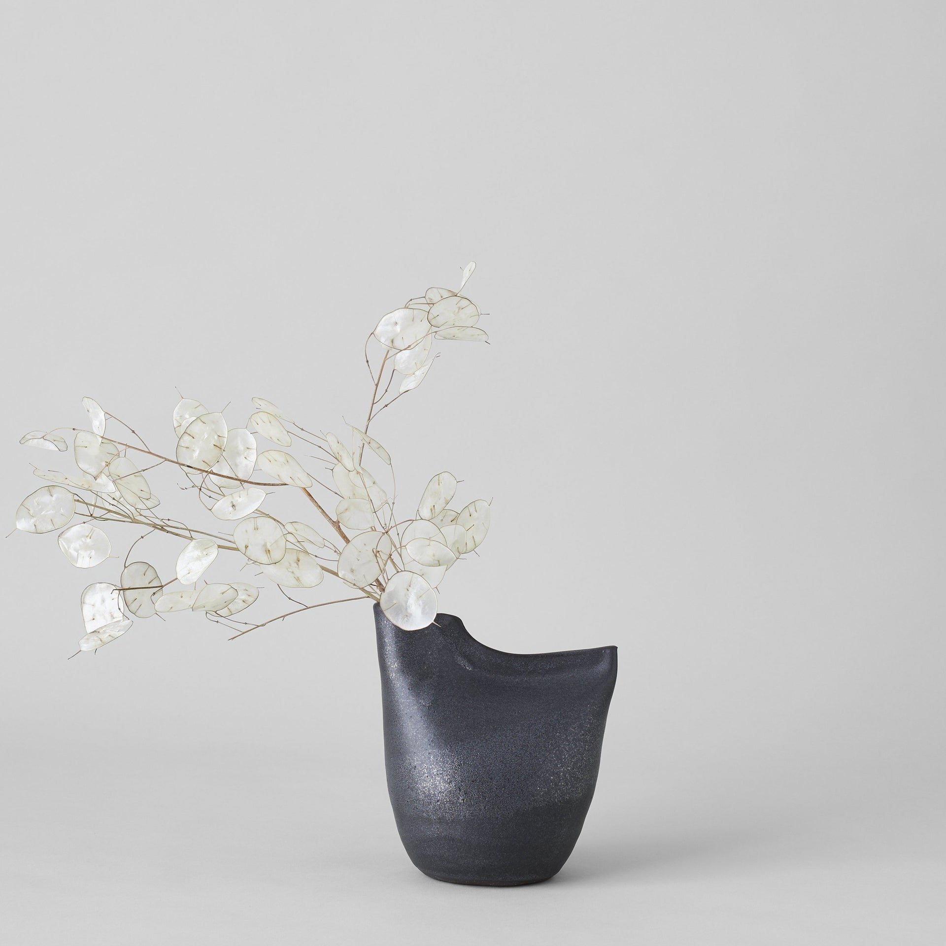 Eric Bonnin Bird Vase in Black