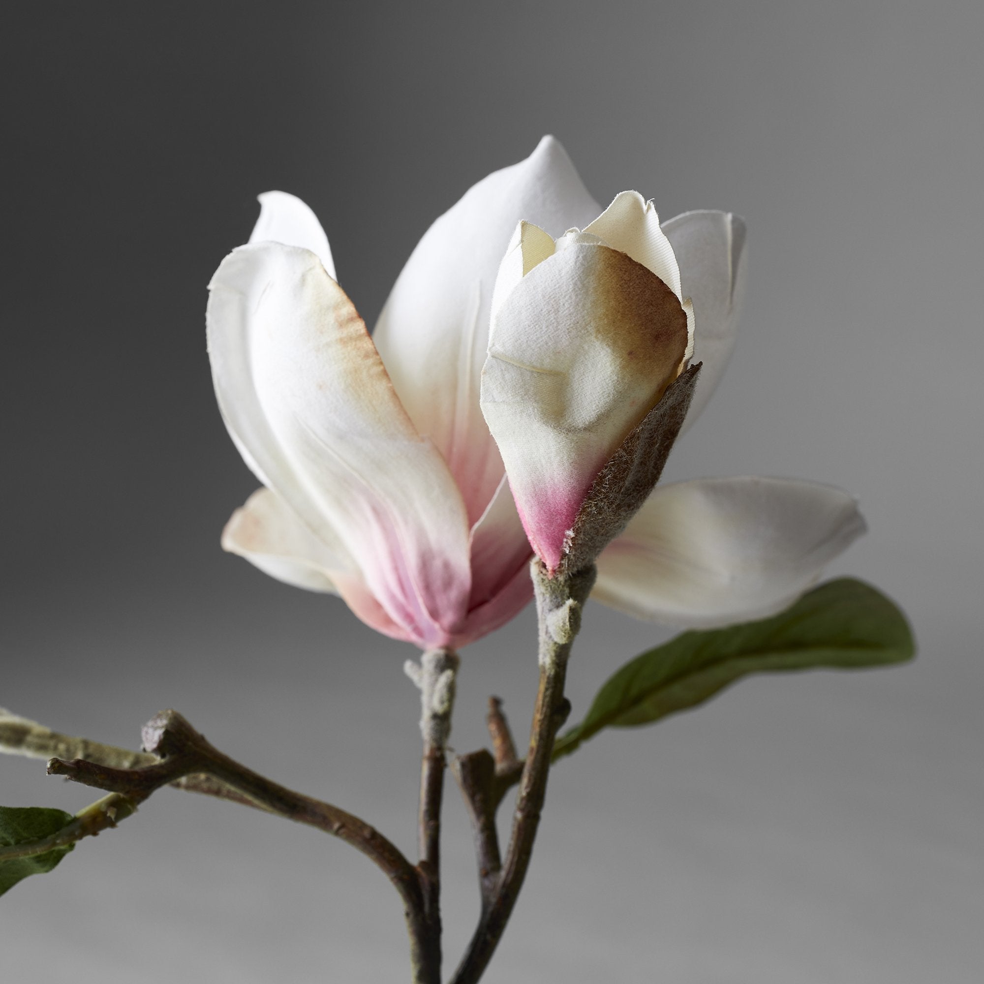 EcoFaux Magnolia Campbellii Branch, 12'' - Bloomist