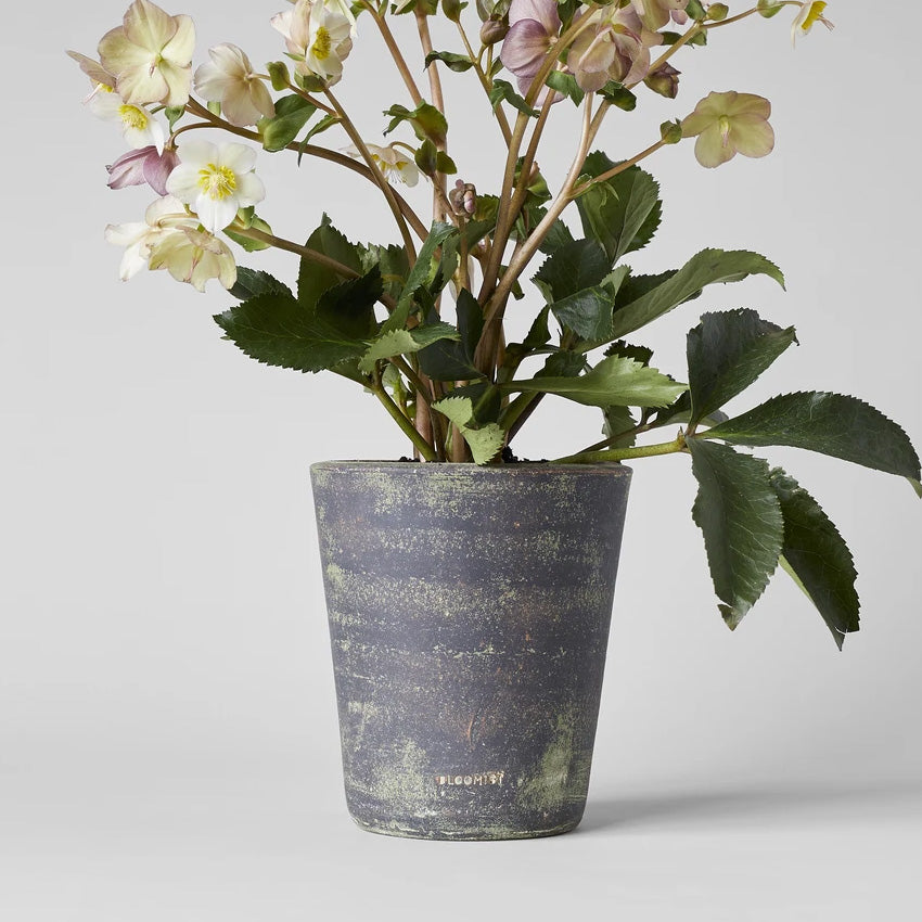 Basic Planter, Gray Patina - Bloomist