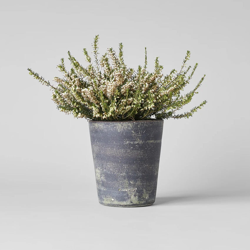 Patinated orders planter white and gustavian gray