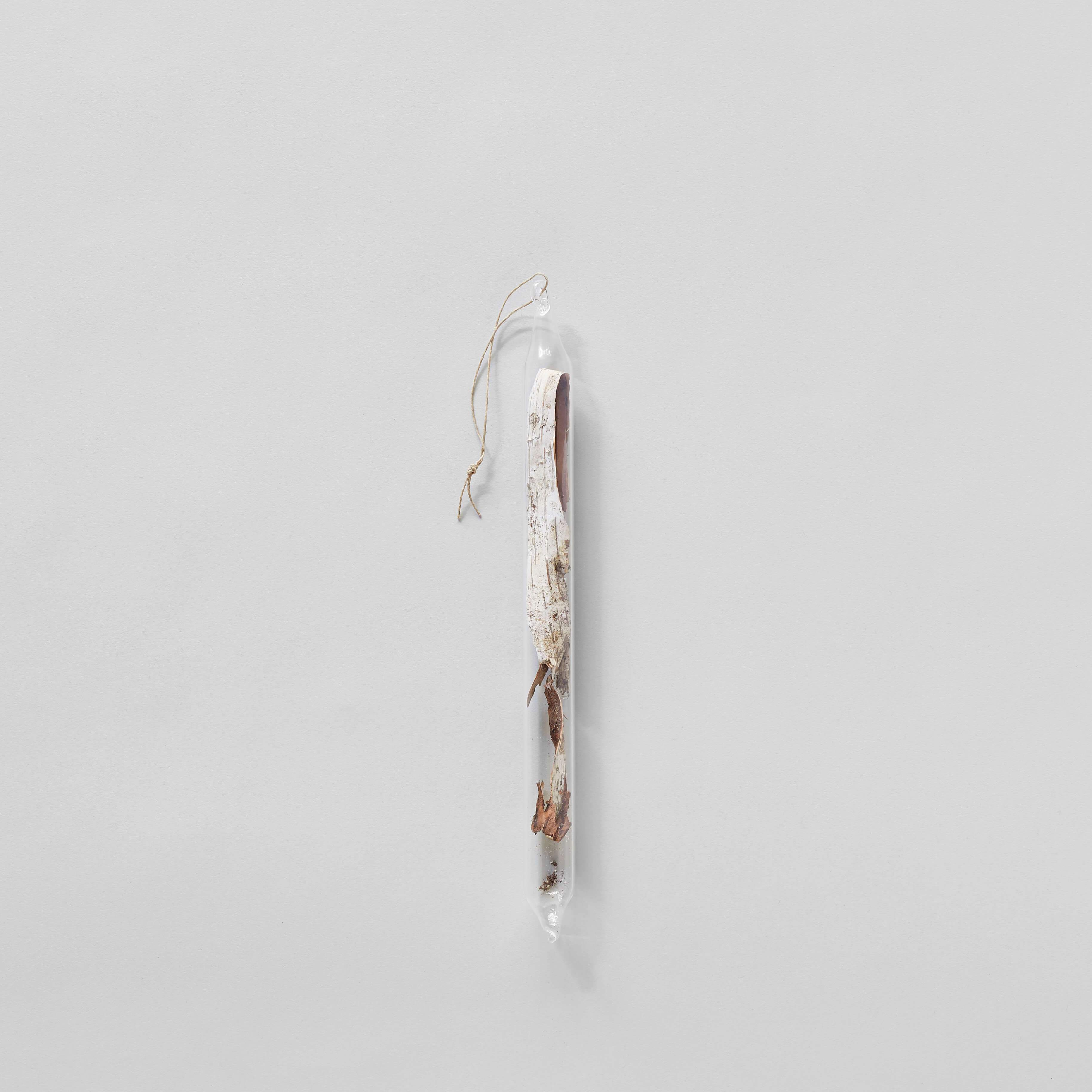 Hanging glass encapsulation with foraged birch bark hand-blown by LBK Studio
