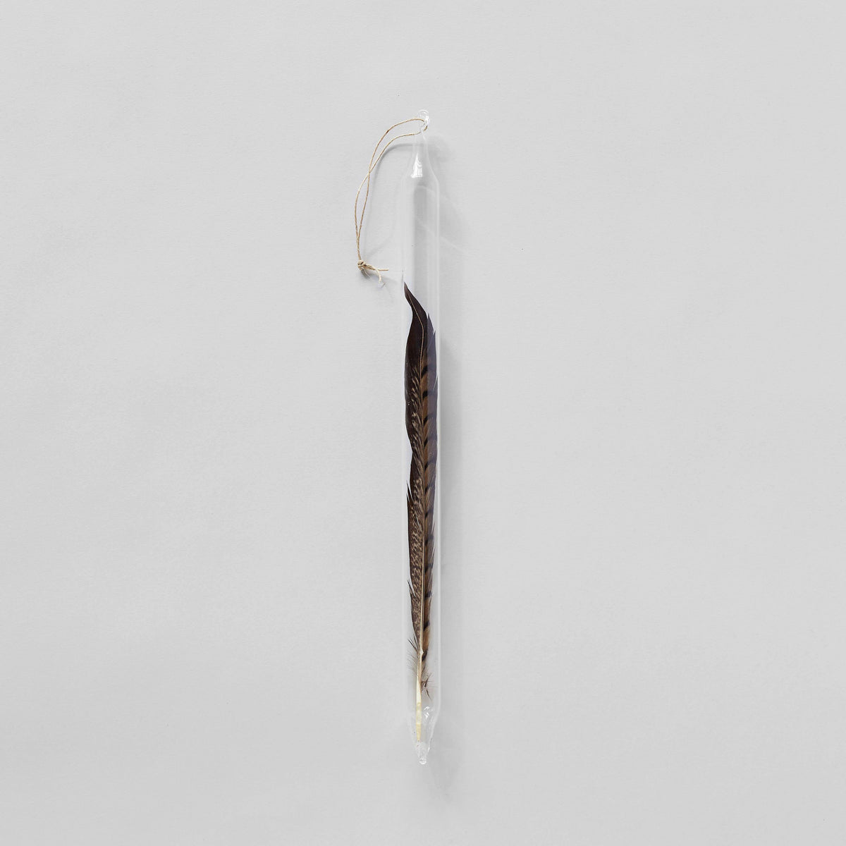 Glass encapsulation with pheasant feather foraged element by Laura Kramer