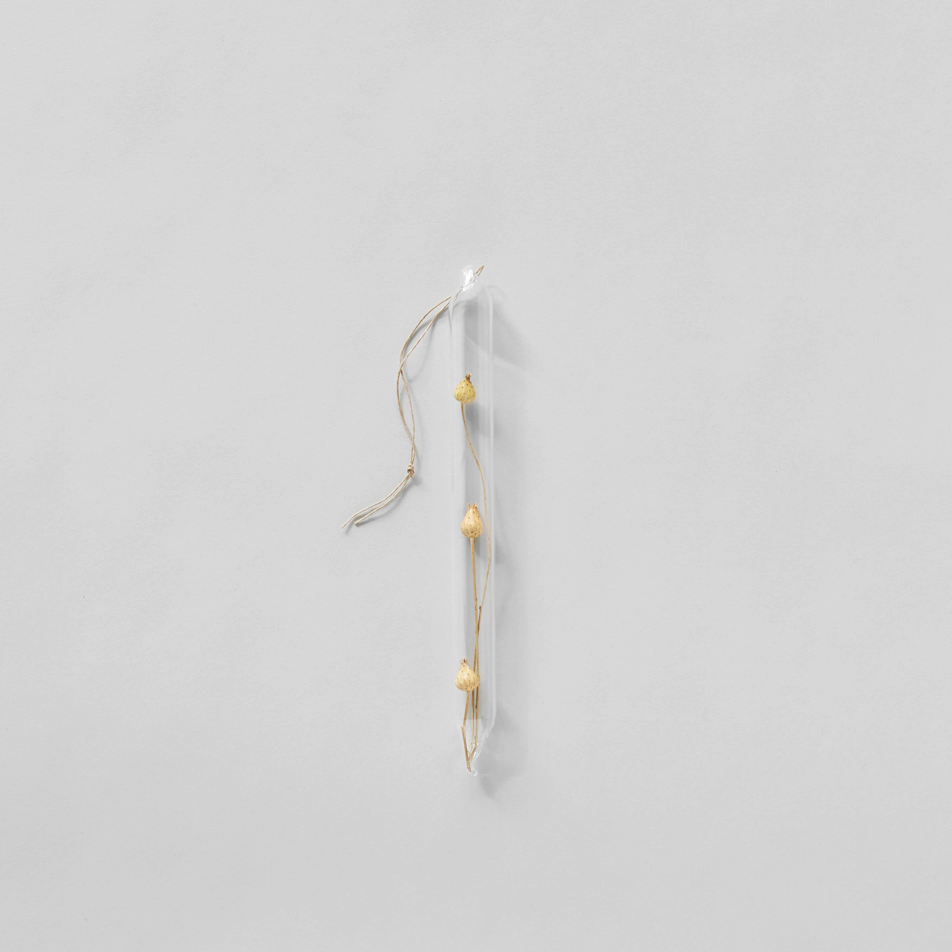 Glass encapsulation with dried flower bulb foraged element LBK Studio