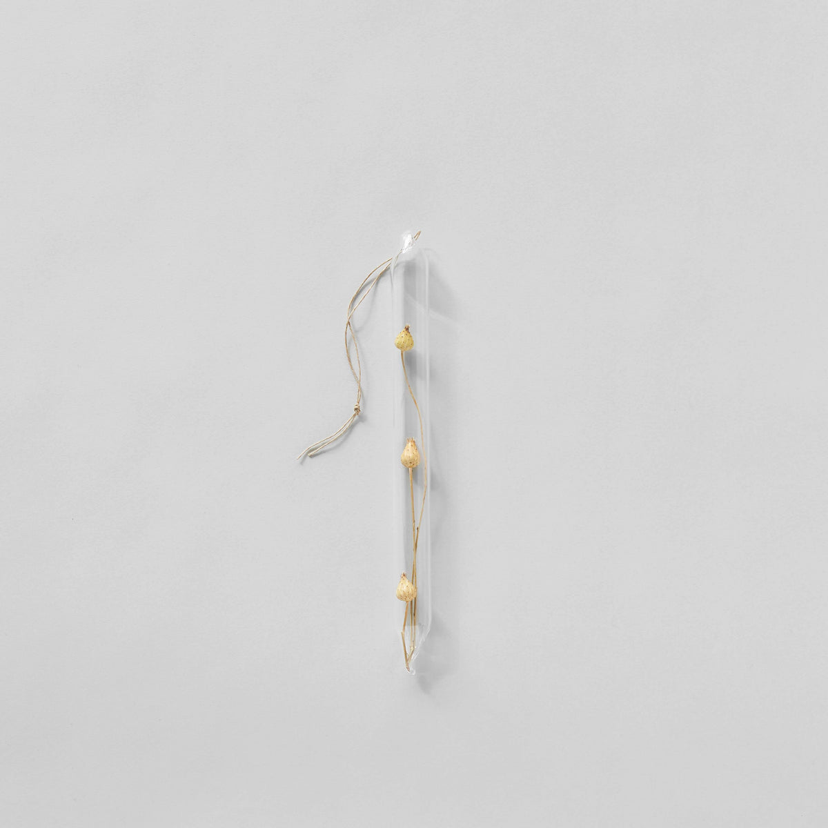 Glass encapsulation with dried flower bulb foraged element LBK Studio