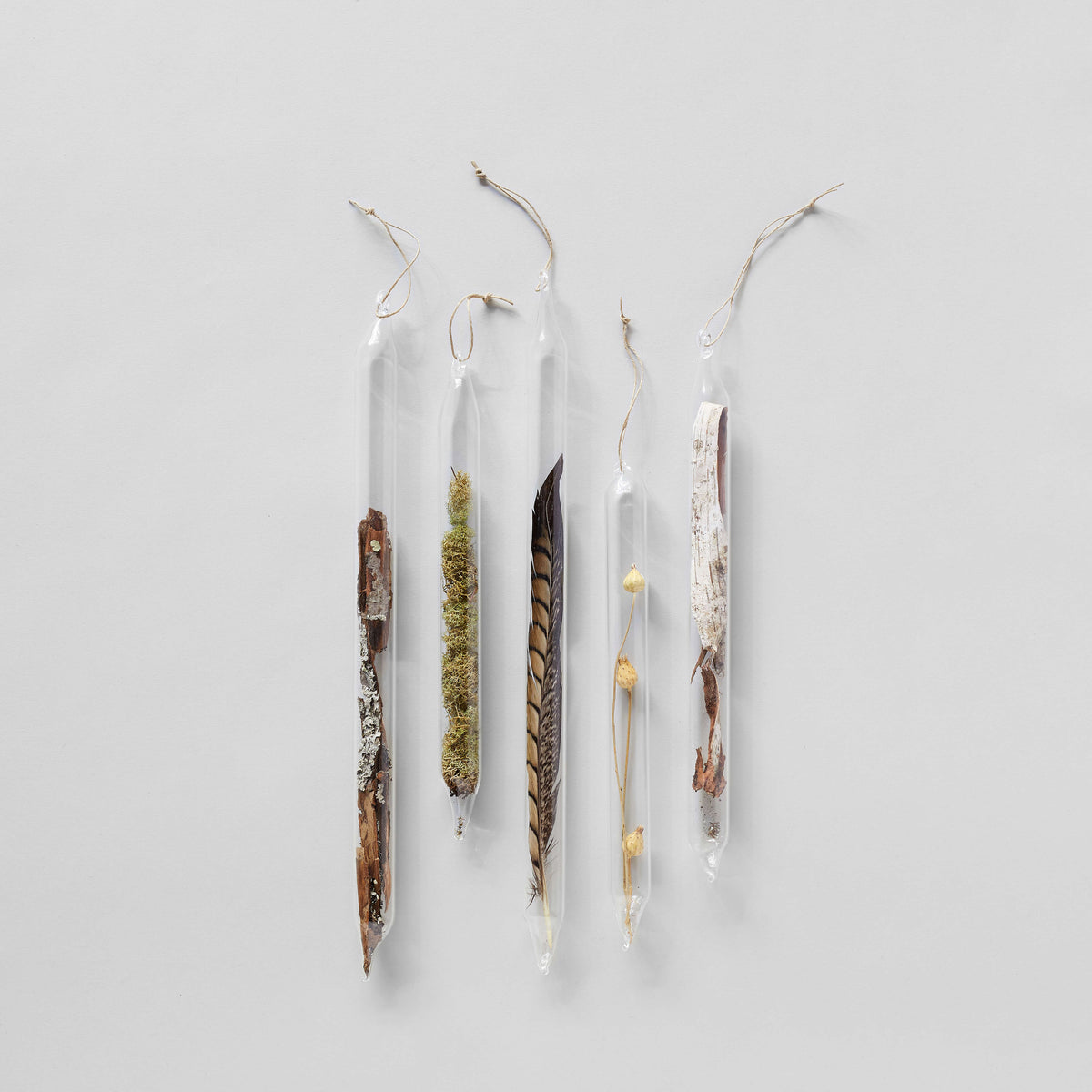 Glass encapsulation hand-blown with foraged natural elements by LBK Studio