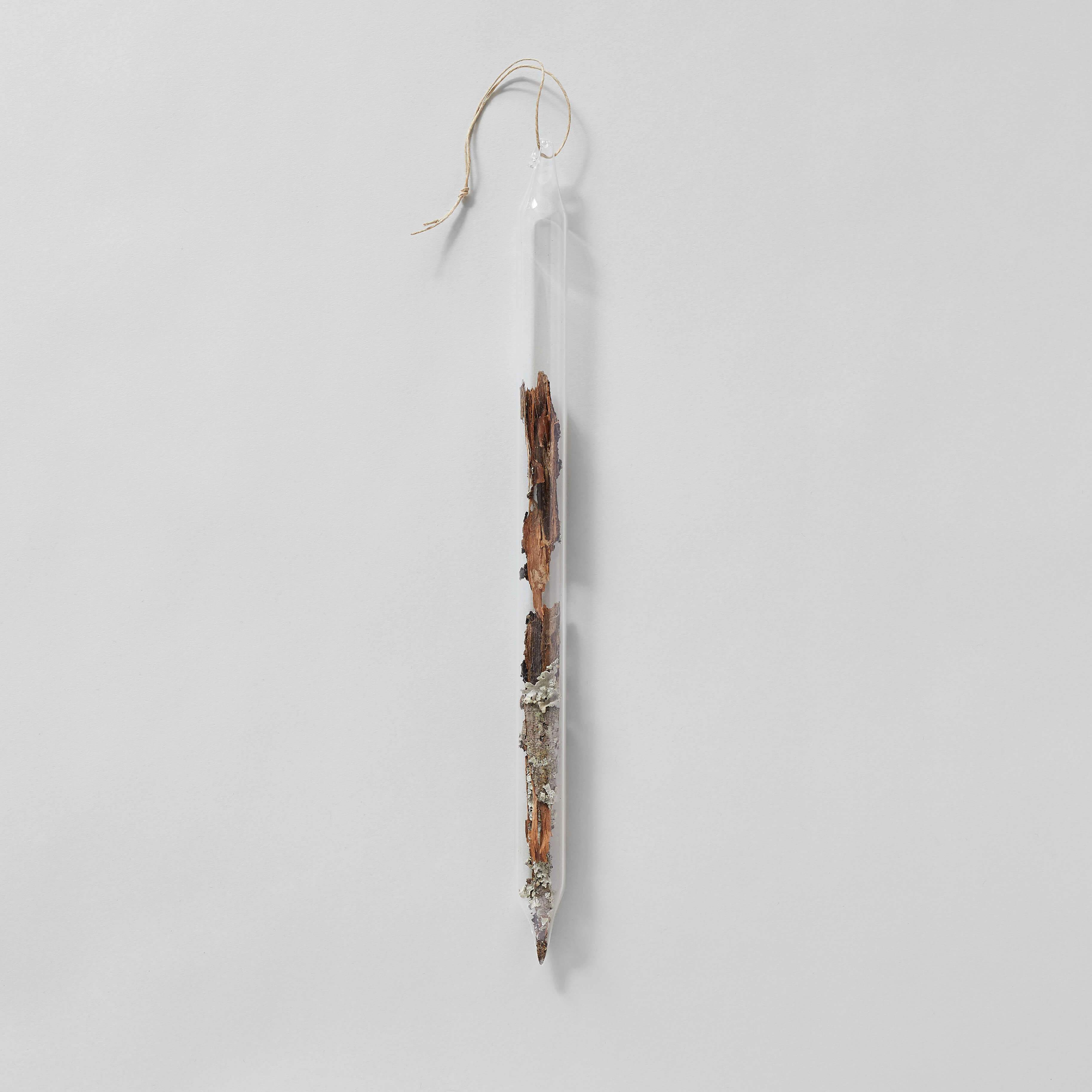Hand-blown glass vial with foraged lichen on stick natural element Bloomist