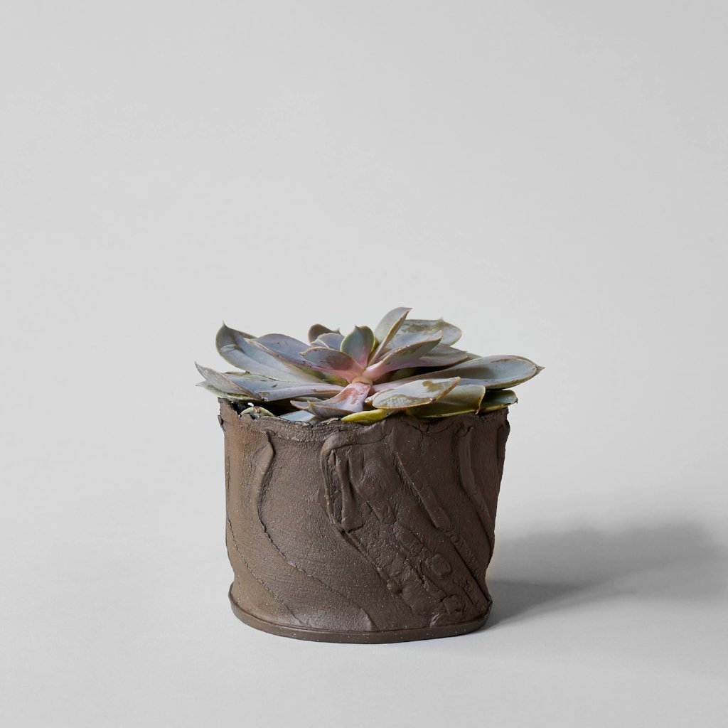 Bark Planter - Thumbnail 4