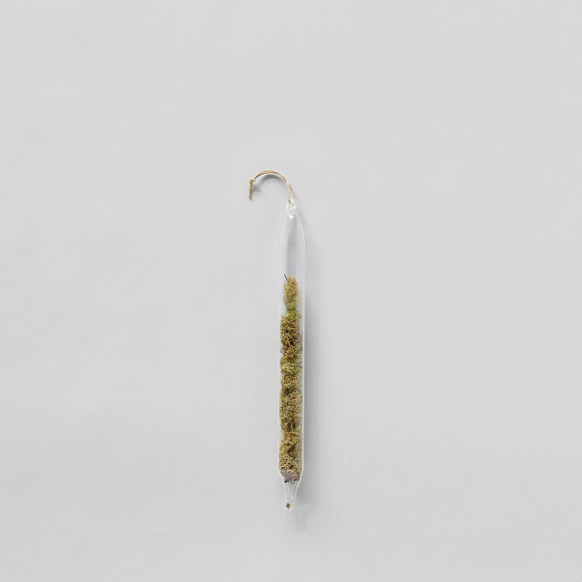 Hanging glass encapsulation with foraged moss natural element LBK Studio