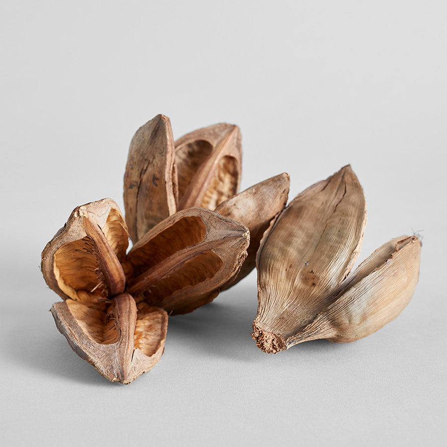 Natural Sora Pods - Bloomist