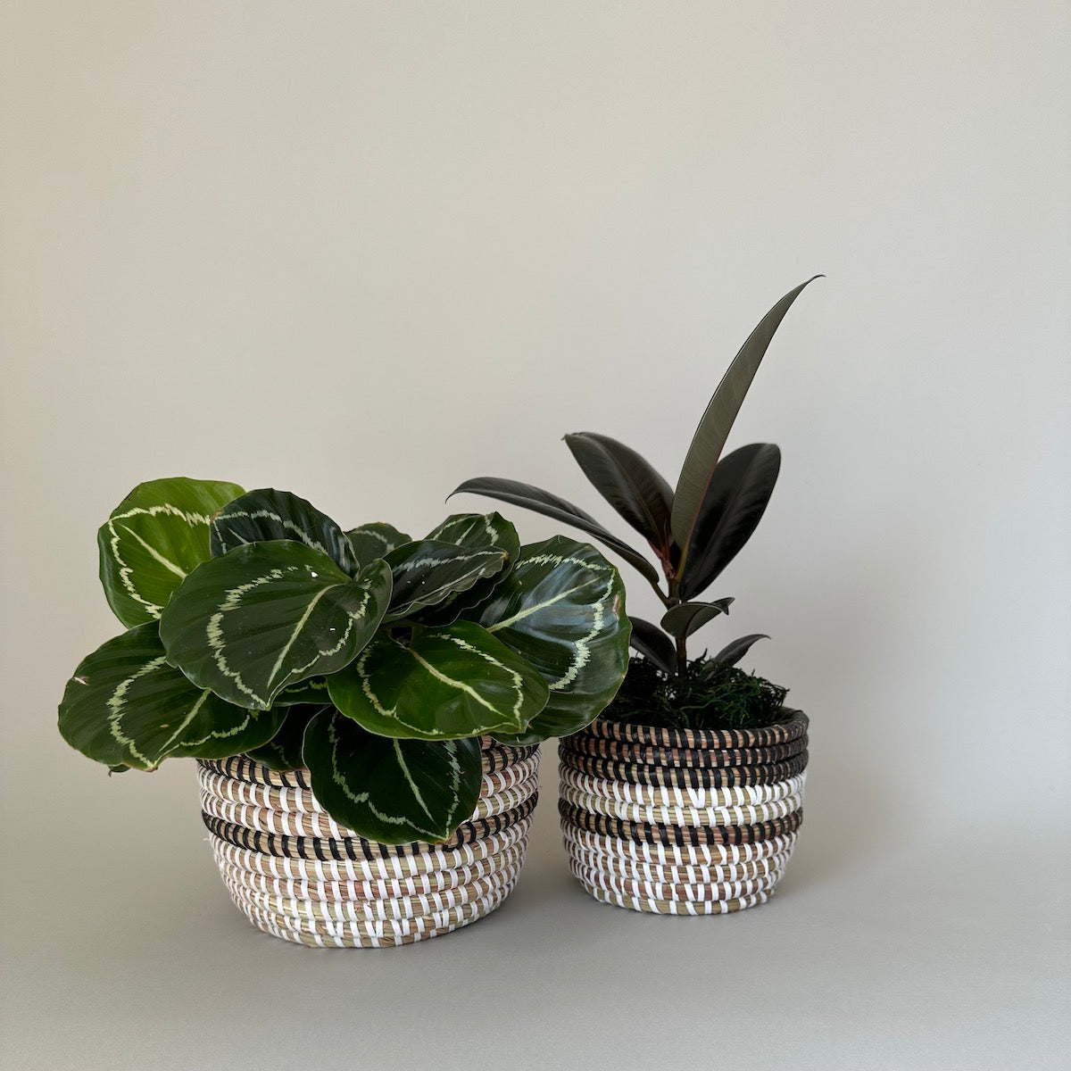 Black and White Stripe Senegalese Baskets - Bloomist